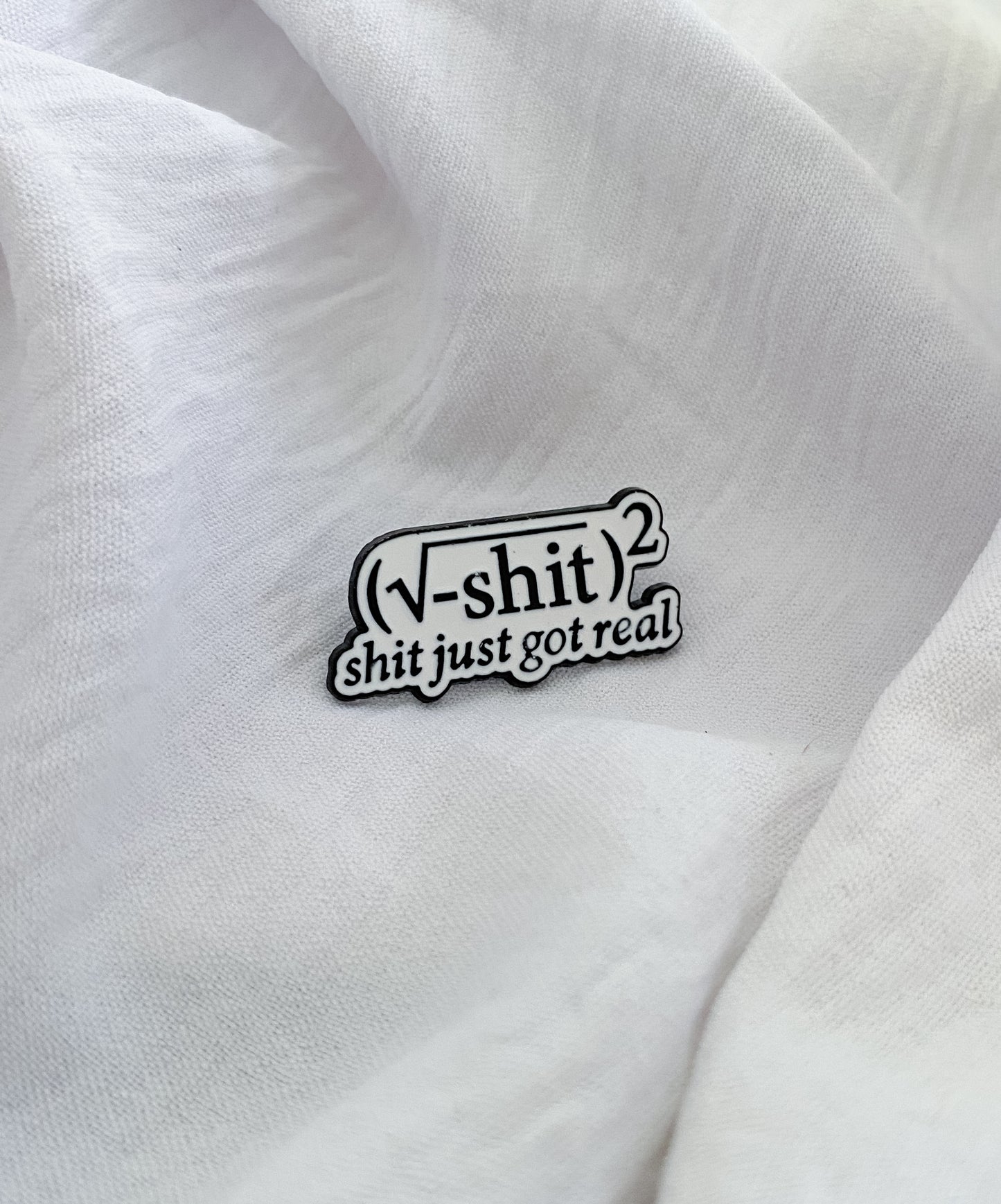 Mathematics Pun Pin