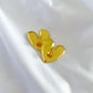 Large Blended Heart Earrings - Gold
