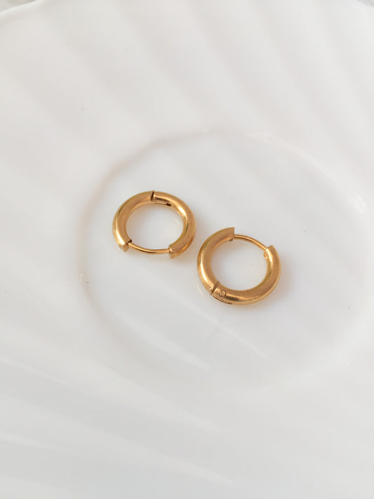Small Sleeper Earrings - Gold